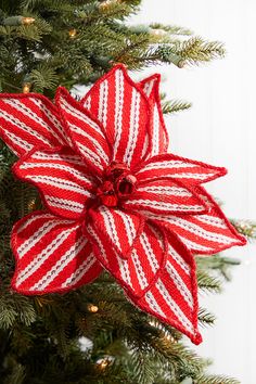 a red and white poinsettia hanging from a christmas tree