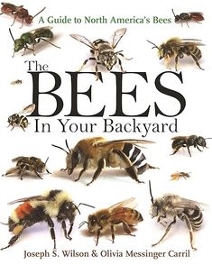 the bees in your backyard by joseph s wilson and ollivia messner carr