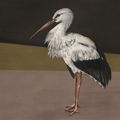 a painting of a bird with long legs and large beak standing in front of a dark background