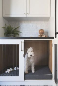 a small white dog standing inside of a wooden kennel in a kitchen next to a counter