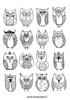 an image of many different owls in black and white