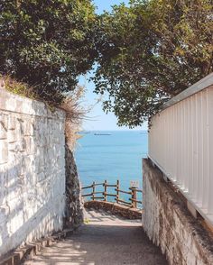 an alley way leading to the ocean with a boat in the water and trees on either side