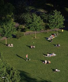 people are laying on the grass in a park