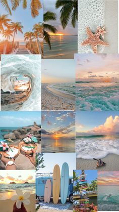 a collage of photos with surfboards and palm trees