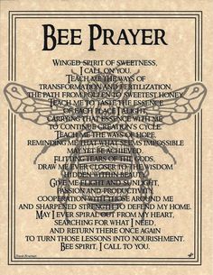 the bee prayer is shown in black and white