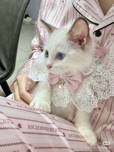 a white cat wearing a pink bow tie sitting on top of a woman's lap