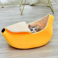 a cat in a banana shaped bed on the floor