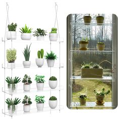 an assortment of potted plants on shelves in front of a window