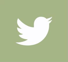 a white twitter logo on a green background