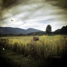 a field with hay bales in the foreground and mountains in the background, under a cloudy sky