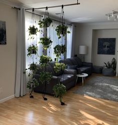 a living room filled with furniture and lots of plants