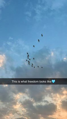 birds flying in the sky with a message below it that reads, this is what freedom looks like