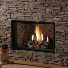 a dog sitting on the floor in front of a fireplace with firewood and logs