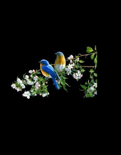 two birds are sitting on the branches of flowers