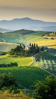 the rolling hills are dotted with trees and fields