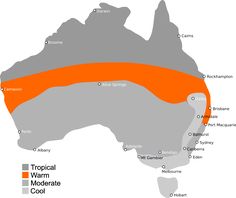 a map with orange and grey areas