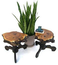 a potted plant sitting on top of two wooden tables