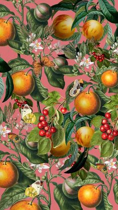 Download premium image of Tropical orange pattern iPhone wallpaper, vintage fruit illustration by Adjima about iphone wallpapers orange fruit, tropical, iphone wallpaper, jungle, and butterfly wallpaper 8830481 | acrylic painting food
, kitchen artwork painting
, kitchen artwork painting
, acrylic painting kitchen art
, oil painting food
, kitchen paintings art wall decor
, kitchen paintings art wall decor bohemian
, fruit wall art
, fruit art print
, fruit painting prints
, abstrac... Vintage Botanical Wallpaper Iphone, Vintage Orange Illustration, Orange Illustration Fruit, Tropical Fruits Illustration, Jungle Iphone Wallpaper, Oranges Wallpapers, Iphone Wallpaper Jungle, Tropical Phone Wallpaper, Tropical Fruit Wallpaper