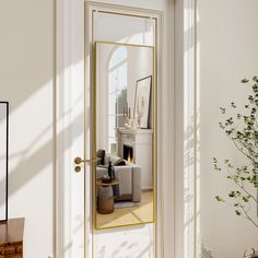 a mirror reflecting a living room with a fireplace in the corner and potted plant next to it