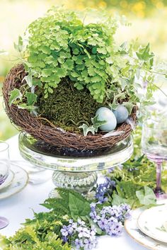 an arrangement of plants and eggs in a glass bowl on a table with wine glasses