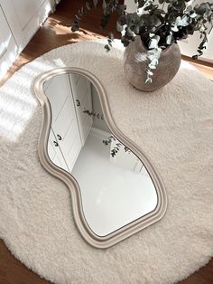 a mirror sitting on top of a rug next to a potted plant