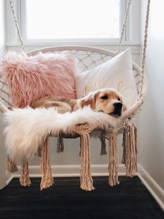 a dog laying in a hammock chair with pillows on it's back