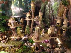 a group of fairy houses in the middle of a forest with lots of trees and rocks