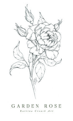 a black and white drawing of a rose with the words garden rose written on it