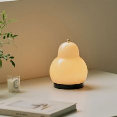 a white lamp sitting on top of a table next to a book and a plant