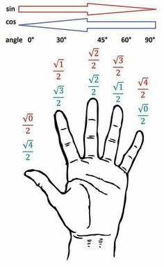 a hand is shown with different numbers on it