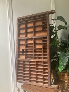 a wooden shelf with several compartments on it next to a potted plant