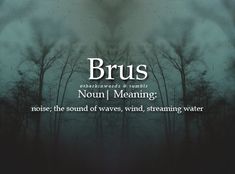 the words brus are written in white on a black background with trees and fog