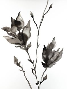 a black and white photo of a plant in a vase with watercolors on it