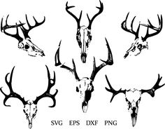 six deer heads with antlers on them, all in different styles and sizes are shown