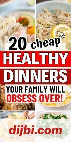 the cover of 20 cheap healthy dinners your family will obses over by dr john s