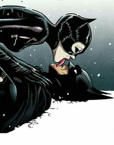 an image of batman and catwoman kissing in the snow with their faces close together