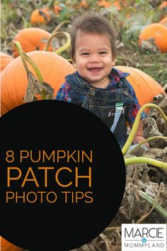 a young boy standing in a pumpkin patch with the words 8 pumpkin patch photo tips