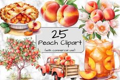 watercolor peach clipart with commercial use for scrapbooking, cards and more