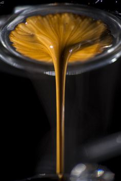 Coffee Setup, Coffee Pot Cleaning, Affogato Coffee, Coffee Inspiration, Espresso Recipes, Coffee World, Arabic Coffee