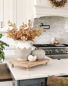 a kitchen with white cabinets and a potted plant on top of the island in front of the stove