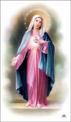 an image of the virgin mary in pink and blue robes with her hands folded out