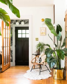 a living room filled with lots of plants and furniture next to a black front door