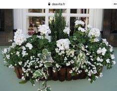 a window box filled with white flowers and greenery