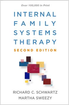 the book cover for international family systems therapy