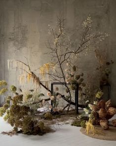 an arrangement of flowers and plants in a room