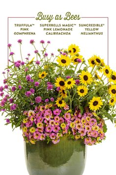 a green vase filled with lots of purple and yellow flowers on top of a white background