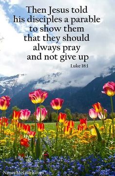 colorful flowers with a bible verse about jesus told his disciples a parable to show them that they should always pray and not give up