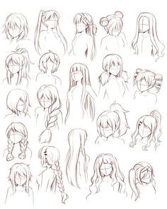 a bunch of drawings of different types of women's hair and hairstyles