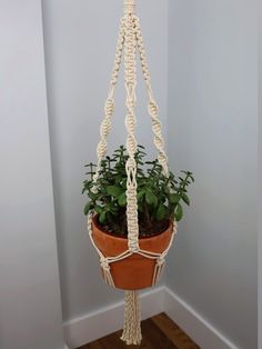 a potted plant hanging from a macrame rope hammock in a room