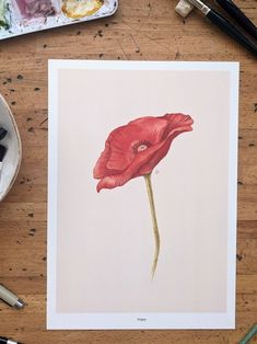 a watercolor painting of a red flower on a table